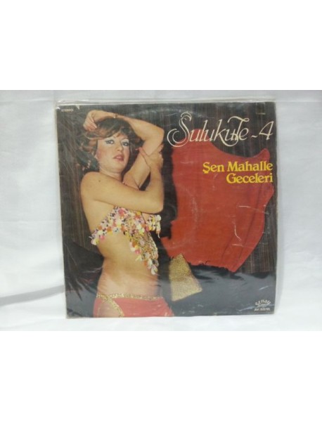 ŞEN MAHALLE GECELERİ SULUKULE 4 