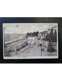 MERSİN BELEDİYE BAHÇESİ CADDESİ KARTPOSTAL (SAMİ ZADE İZZET)