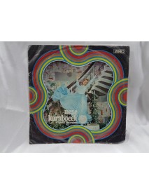 NEŞE KARABÖCEK kısmet & demedim mi ben sana