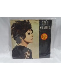 NEŞE KARABÖCEK intizar & karlı bir kış günü