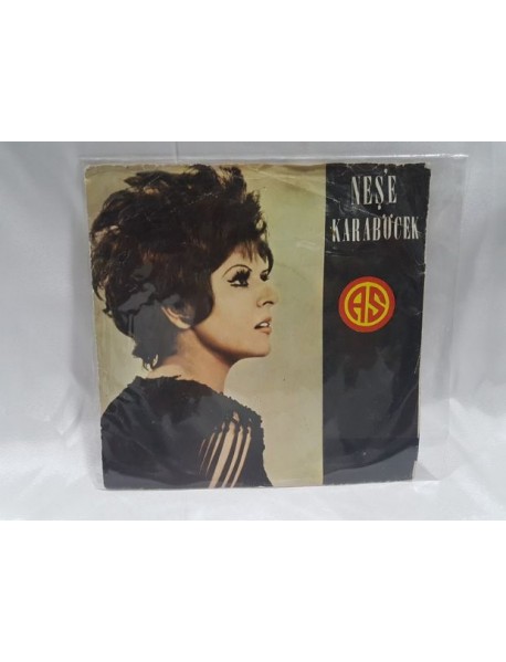 NEŞE KARABÖCEK intizar & karlı bir kış günü