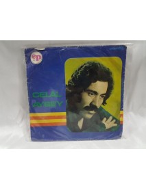 CELAL AYBEY merhamet diliyorum & oy anam