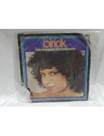 BİRİCİK işte meydan & dert mi sana 