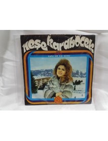 NEŞE KARABÖCEK intizar & karlı bir kış günü