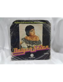 DOLCAN SEZER kalbimdeki serseri & ne çıkarsa bahtıma