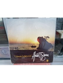 AHMET ÖZHAN GÜNEŞİN BATTIĞI YERDE