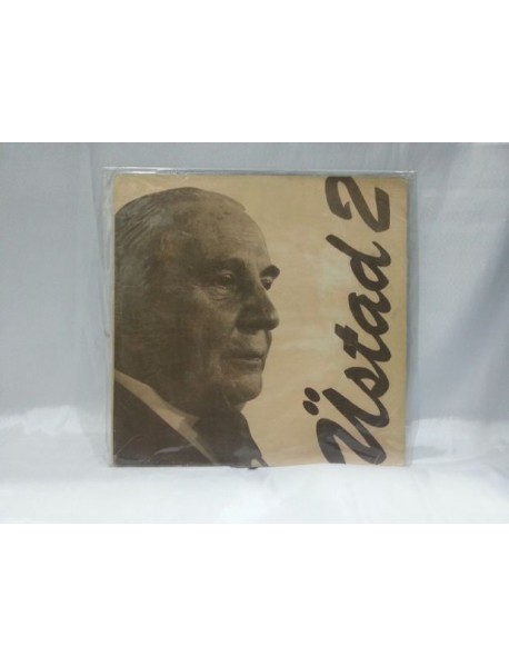 MÜNİR NURETTİN SELÇUK ÜSTAD 2