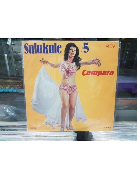 HASAN YARIMDÜNYA SULUKULE 5 ÇAMPARA