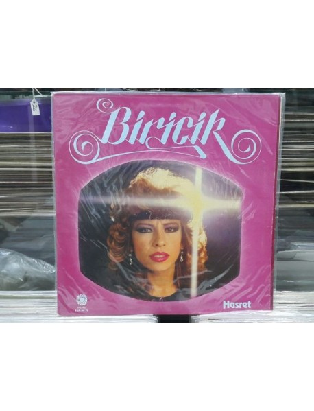 BİRİCİK HASRET