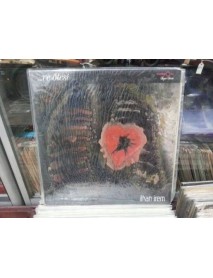 İLHAN İREM VE ÖTESİ 