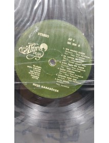 NEŞE KARABÖCEK YEDİ RENK (KAPAKSIZ)