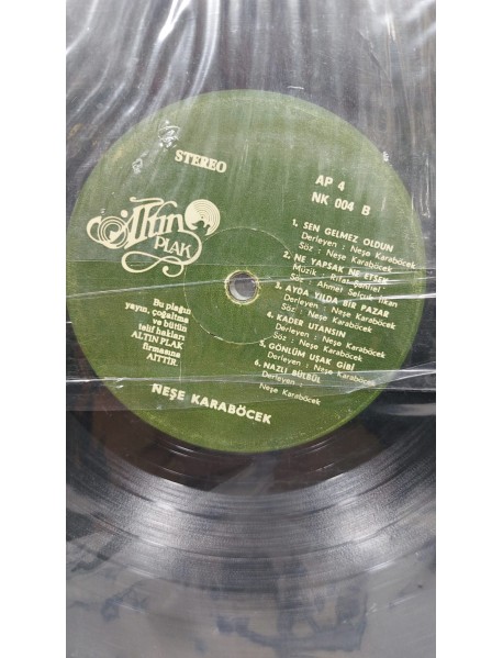 NEŞE KARABÖCEK YEDİ RENK (KAPAKSIZ)