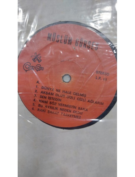MÜSLÜM GÜRSES DÜNYA NE HALE GELMİŞ (KAPAKSIZ)