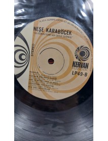 NEŞE KARABÖCEK ŞU KARŞIKİ EVDE BİR ÇOCUK DOĞMUŞ (KAPAKSIZ)