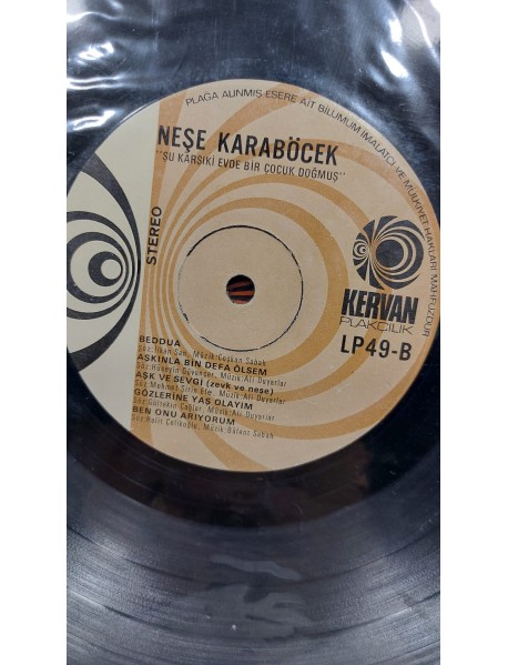 NEŞE KARABÖCEK ŞU KARŞIKİ EVDE BİR ÇOCUK DOĞMUŞ (KAPAKSIZ)