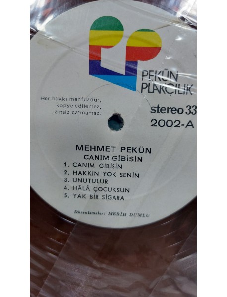 MEHMET PEKÜN CANIM GİBİSİN (KAPAKSIZ)