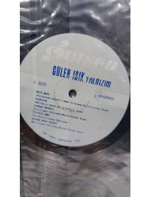 GÜLER IŞIK YALNIZIM (KAPAKSIZ)