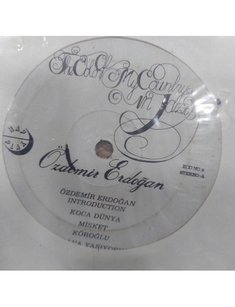ÖZDEMİR ERDOĞAN THE COLOR OF MY COUNTRY IN JAZZ (KAPAKSIZ)