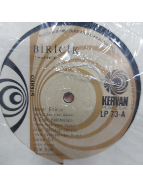 BİRİCİK HASRET (KAPAKSIZ)